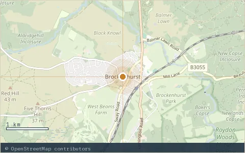 Location map: Brockenhurst, Hampshire.