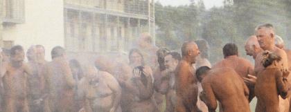 History of Naturism in Ireland – Irish Naturist Association