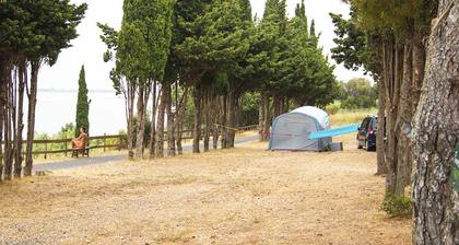 Le Clapotis