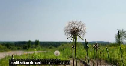 published by natumag